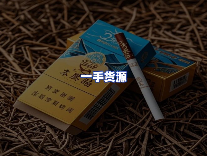 专业团队